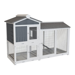 Guinea pig 2025 cage wayfair